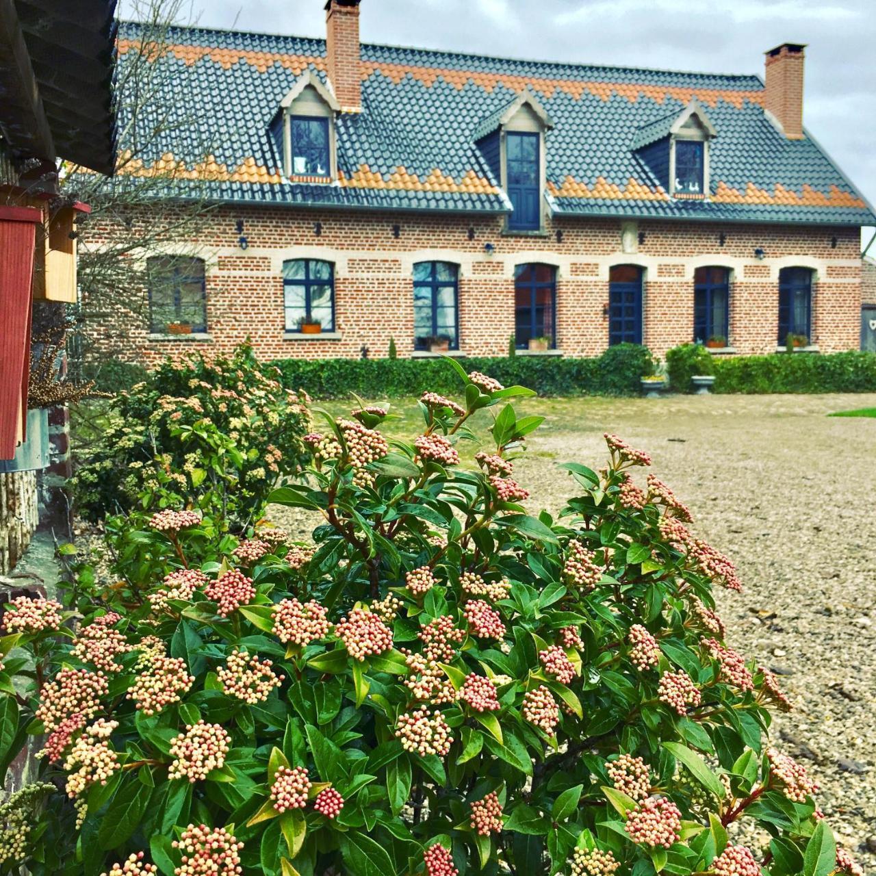 Paardenhof Guesthouse Esquelbecq Extérieur photo